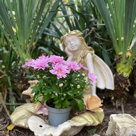 Jacky's House Chernomorets