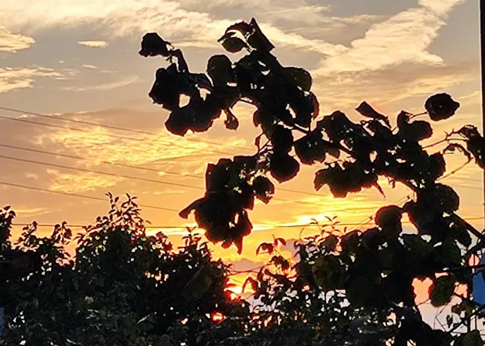 Jacky's House * Cernomoreț