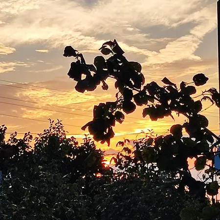 Jacky's House * Chernomorets