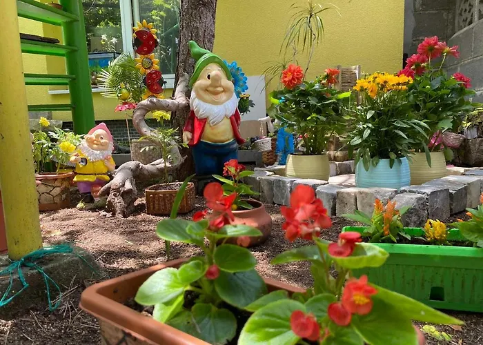 Jacky's House 招待所 切尔诺莫雷茨