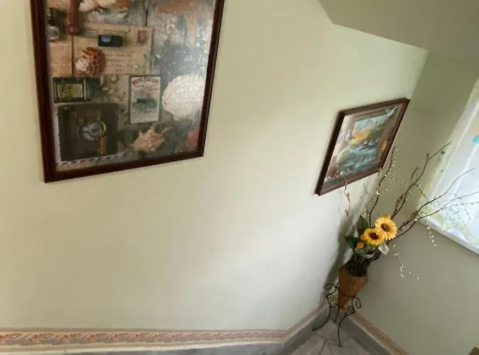 Jacky's House * Cernomoreț