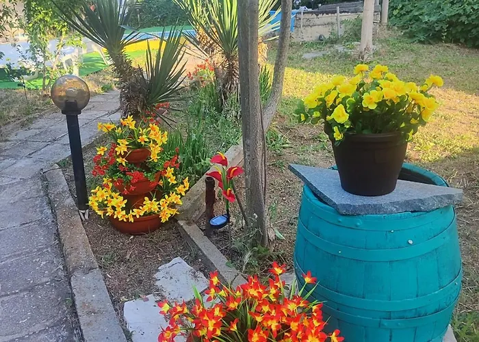 Jacky's House Pensiune *